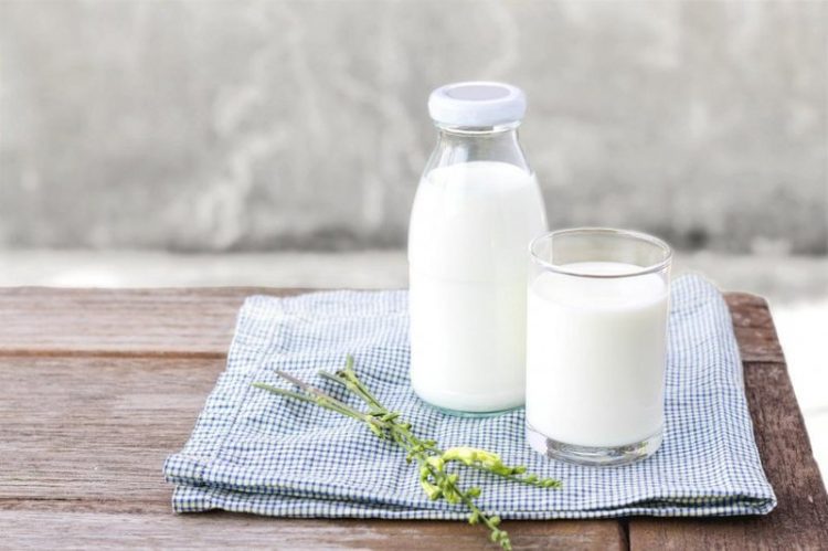 Sữa tươi là thực phẩm tăng cơ, tăng cân hiệu quả nhất.